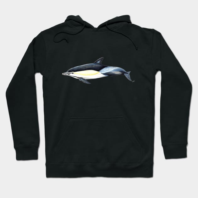 Common dolphin Hoodie by chloeyzoard